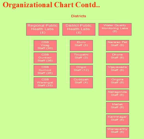 Organizational Chart Contd..